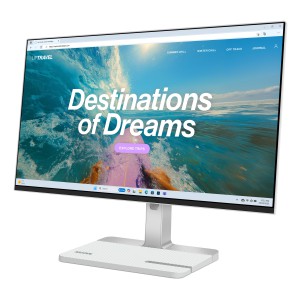 Lenovo L24D-4C Monitor