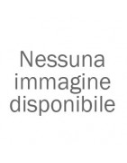 Notebook Asus